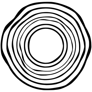 TSM Software Services